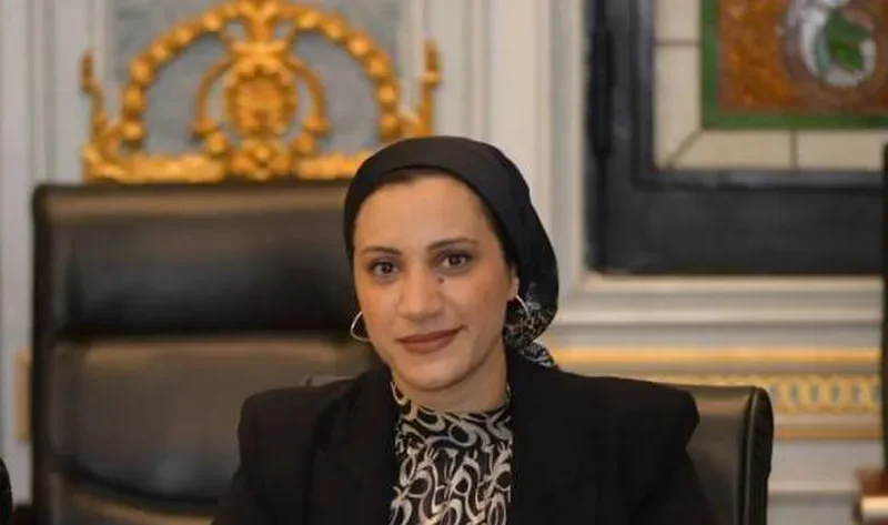 عضو بـ«النواب» تتقدم بمشروع قانون إنشاء صندوق الرعاية الاجتماعية للرياضيين – أخبار مصر
