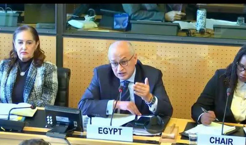 إشادة دولية بجهود مصر في حماية حقوق العمال المهاجرين وأسرهم – أخبار العالم